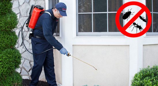 Kurtalan Kene İlaçlama böcek ilaçlama ve haşere kontrolü — ilaclama-tr.com
